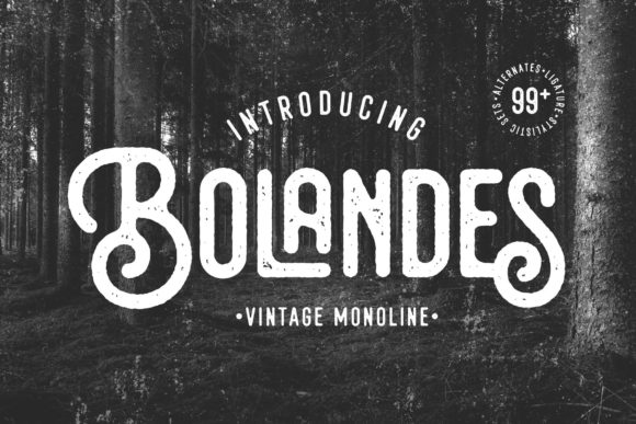 Bolandes: A Chic Display Font for Branding Success